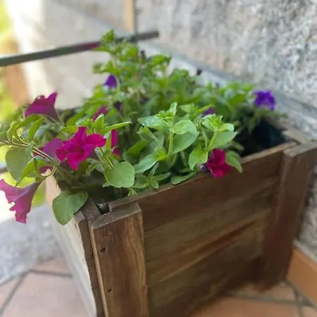 Casa de Férias Charneca, Jardin Y Mar Vigo