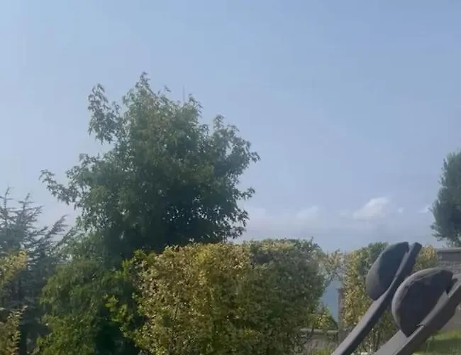 Charneca, Jardin Y Mar *